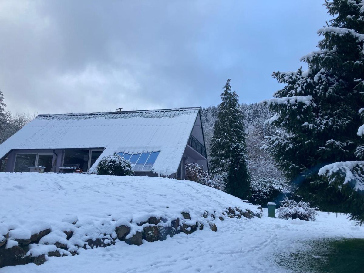 L'Opportunite Villa Saulxures Dış mekan fotoğraf