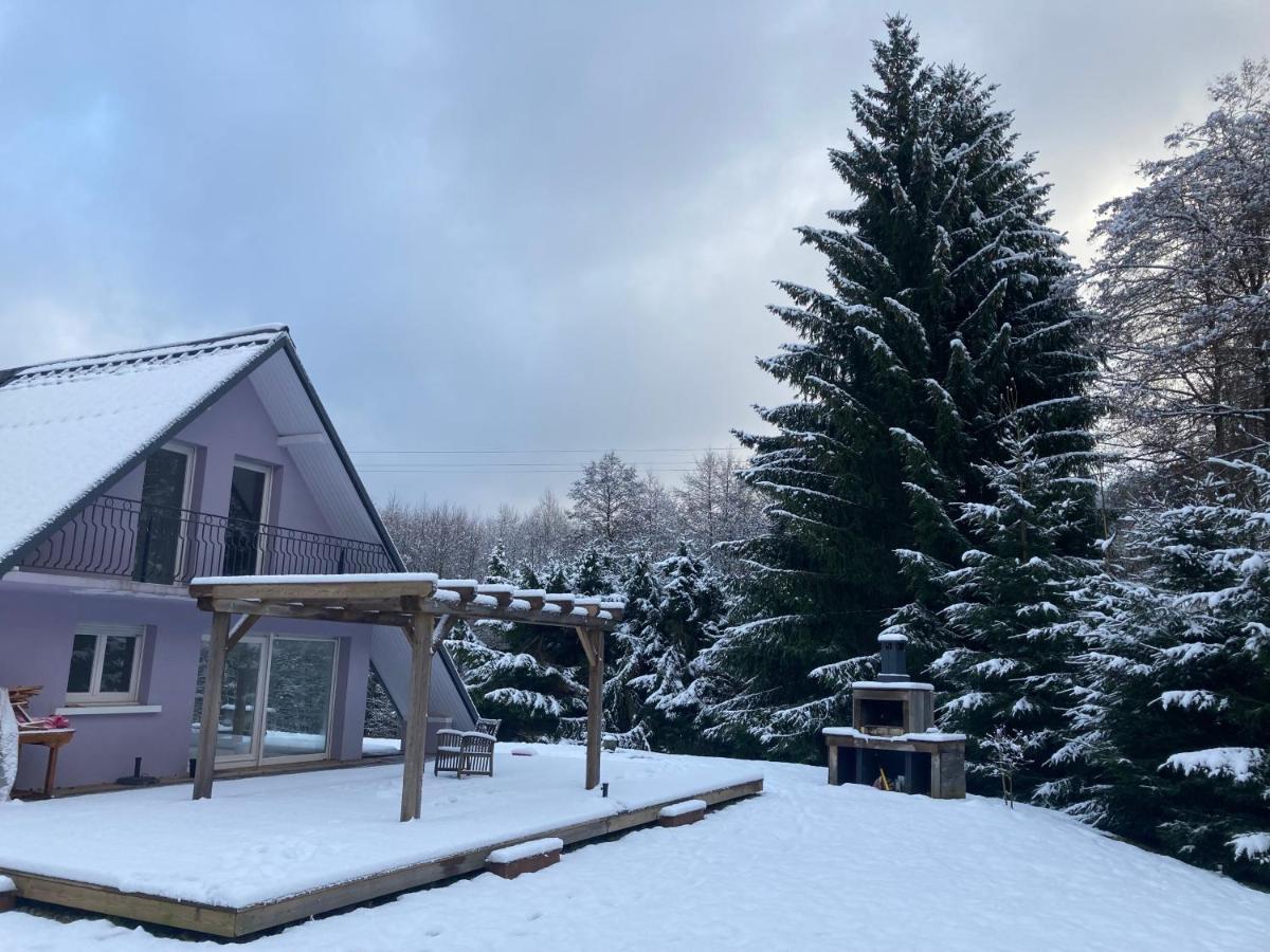 L'Opportunite Villa Saulxures Dış mekan fotoğraf